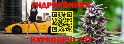 соль ск Партизанск