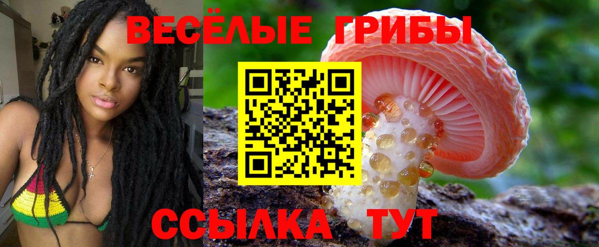 продажа наркотиков  Галлюциногенные грибы Cubensis  Вход с VPN  Ростов Великий  Псилоцибиновые грибы мухоморы 